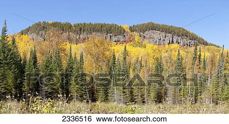 Stock Photograph - Bright autumn colours against rocks and a mountain; Thunder Bay, Ontario, Canada. Fotosearch