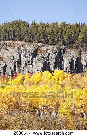 Bright autumn colours against the rock face of a mountain; Thunder Bay, Ontario, Canada View Large Photo Image Stock Photo - Bright autumn colours against the rock face of a mountain; Thunder Bay, Ontario, Canada. Fotosearch