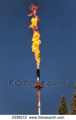 Close up of gas plant flare with large gas flaring and blue sky; Bragg Creek, Alberta, Canada View Large Photo Image Stock Image - Close up of gas plant flare with large gas flaring and blue sky; Bragg Creek, Alberta, Canada. Fotosearch
