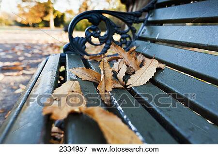 Stock Photo - Fallen autumn coloured leaves on a park bench in St. James's Park; London, England. Fotosearch