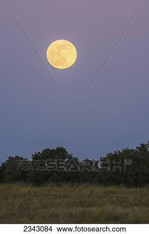 Picture - Full moon at dusk; Ohio, United States of America. Fotosearch