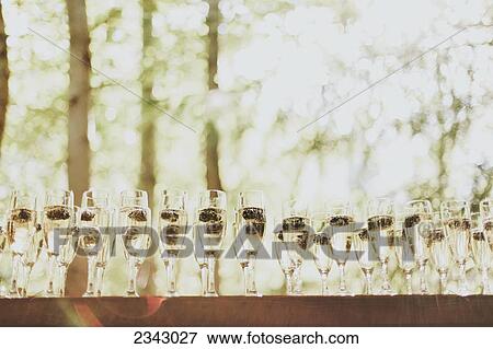 Stock Photo - Glasses of champagne in a row; Pemberton, British Columbia, Canada. Fotosearch