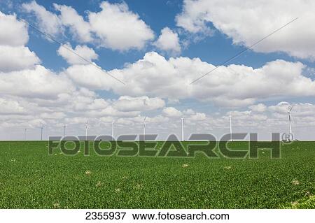 Gray County wind generator farm; Ensign, Kansas, United States of America View Large Photo Image Stock Photo - Gray County wind generator farm; Ensign, Kansas, United States of America. Fotosearch