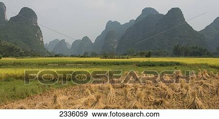 Stock Photo - Landscape of peaked mountains and bundles of a crop in a field. Fotosearch