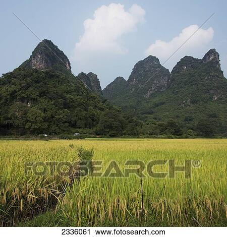 Stock Image - Landscape of rugged mountain peaks and a path through a crop in a field. Fotosearch