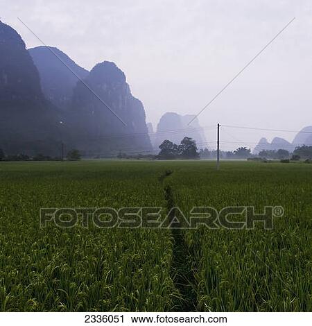 Landscape of rugged rock formations and a path going through a green crop in a field View Large Photo Image Stock Image - Landscape of rugged rock formations and a path going through a green crop in a field. Fotosearch