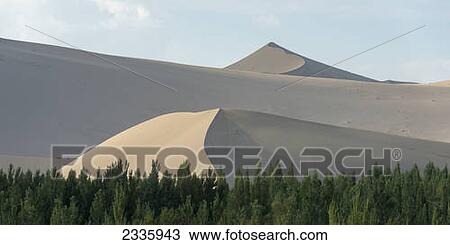 Landscape of sand slopes and ridges with trees in the foreground View Large Photo Image Stock Image - Landscape of sand slopes and ridges with trees in the foreground. Fotosearch