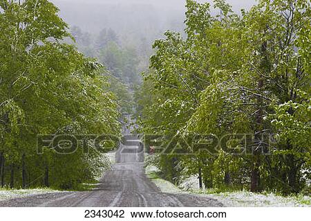 Late spring snowfall on a road; Ville de Lac Brome, Quebec, Canada View Large Photo Image Stock Image - Late spring snowfall on a road; Ville de Lac Brome, Quebec, Canada. Fotosearch