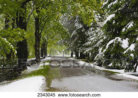 Stock Photography - Late spring snowfall on a road; Ville de Lac Brome, Quebec, Canada. Fotosearch