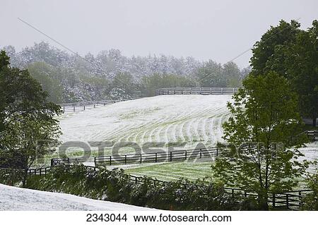 Late spring snowfall on the farm fields; Ville de Lac Brome, Quebec, Canada View Large Photo Image Picture - Late spring snowfall on the farm fields; Ville de Lac Brome, Quebec, Canada. Fotosearch
