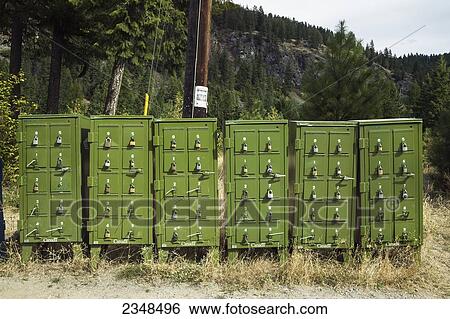 Mailboxes; British Columbia, Canada View Large Photo Image Stock Photograph - Mailboxes; British Columbia, Canada. Fotosearch