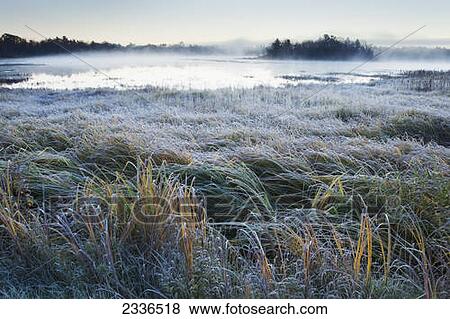 Stock Photo - Mist rising over a large pond, near Belfast; Maine, United States of America. Fotosearch