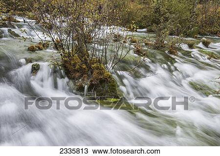 Motion blur of water flowing over rock and plants View Large Photo Image Stock Image - Motion blur of water flowing over rock and plants. Fotosearch