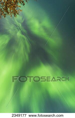 Stock Photo - Northern Lights in the sky above the Chena Lakes Recreation area; Fairbanks, Alaska, United States of America. Fotosearch
