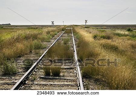 Stock Image - Old railroad tracks in a rural area; Saskatchewan, Canada. Fotosearch