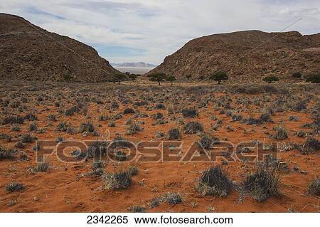 Stock Photography - Red dirt in the desert; Klein-Aus Vista, Namibia. Fotosearch