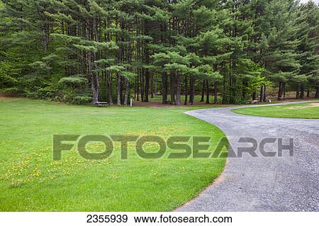 Scenic road and grounds of the Pine Hollow Campground; Pownal, Vermont, United States of America View Large Photo Image Stock Photo - Scenic road and grounds of the Pine Hollow Campground; Pownal, Vermont, United States of America. Fotosearch