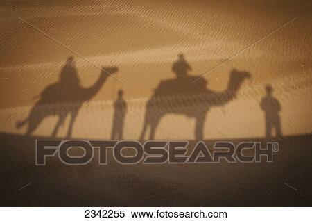 Shadow of camels with riders on the sand; India View Large Photo Image Stock Photography - Shadow of camels with riders on the sand; India. Fotosearch