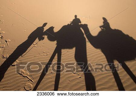 Shadow on the sand of people riding on camels View Large Photo Image Stock Photograph - Shadow on the sand of people riding on camels. Fotosearch