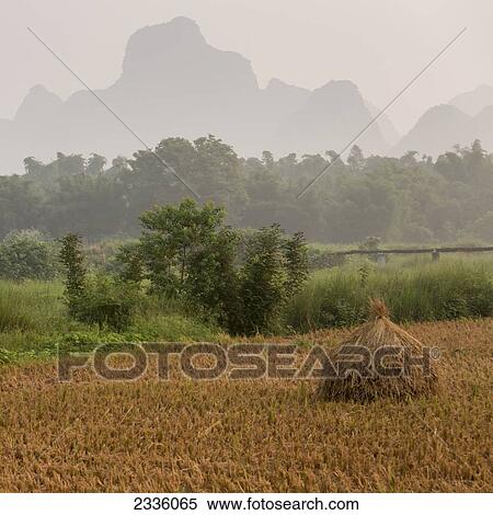 Stock Photography - Silhouette of rugged mountain peaks in the haze with a bundled crop in the foreground. Fotosearch