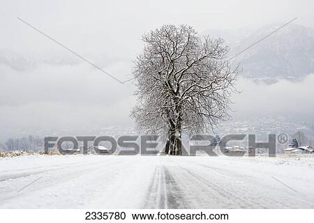 Snow covered road under an overcast sky View Large Photo Image Stock Image - Snow covered road under an overcast sky. Fotosearch