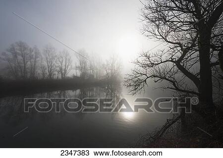 Stock Image - Sunlight reflecting on tranquil water in the fog with silhouettes of trees on the shoreline; Locarno, Ticino, Switzerland. Fotosearch
