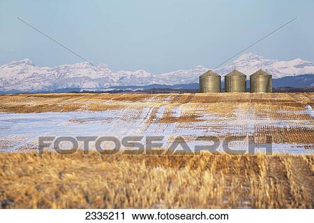 Three grain bins in a cut snow covered grain field with snow covered mountains and blue sky at sunrise; Alberta, Canada View Large Photo Image Stock Image - Three grain bins in a cut snow covered grain field with snow covered mountains and blue sky at sunrise; Alberta, Canada. Fotosearch