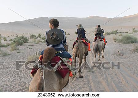 Three people riding camels on a desert landscape; Jiuquan, Gansu, China View Large Photo Image Stock Image - Three people riding camels on a desert landscape; Jiuquan, Gansu, China. Fotosearch