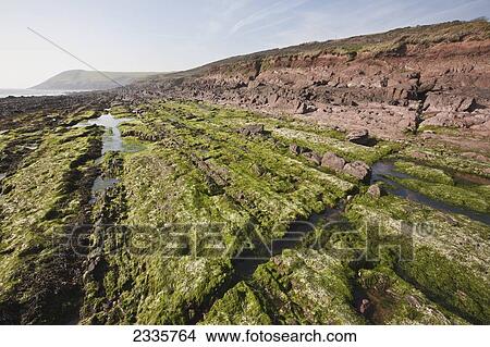 Picture - Tide pools on the shore at low tide. Fotosearch