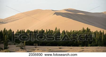 Trees and a brown sloping landscape in the background View Large Photo Image Stock Image - Trees and a brown sloping landscape in the background. Fotosearch