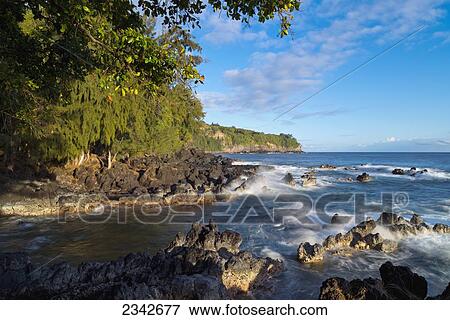 Stock Photo - View of the coastline on an Hawaiian island; Lapahoehoe, Hamakua, Big Island, Hawaii, United States of America. Fotosearch