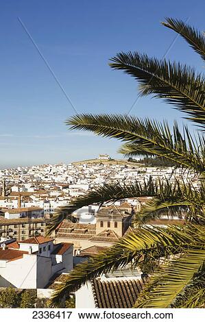 Stock Photo - View over the town with blue sky and palm fronds in the foreground; Antequera, Malaga Province, Andalusia, Spain. Fotosearch
