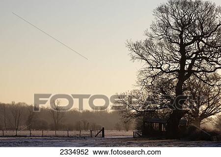Winter morning on a farm; Kent, England View Large Photo Image Stock Image - Winter morning on a farm; Kent, England. Fotosearch