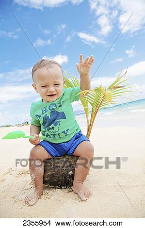 A Baby Boy Sits On A Coconut And Palm Frond On The Beach At The Water's Edge; Kailua, Oahu, Hawaii, United States Of America View Large Photo Image Picture - A Baby Boy Sits On A Coconut And Palm Frond On The Beach At The Water's Edge; Kailua, Oahu, Hawaii, United States Of America. Fotosearch