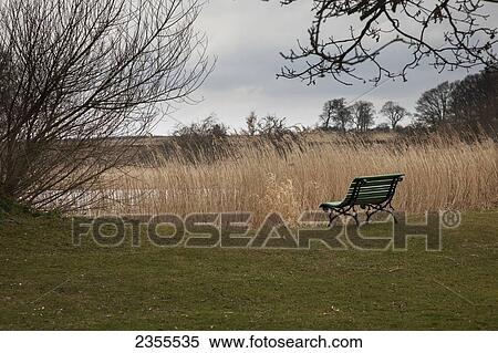 A Bench Sitting Behind Tall Grass At The Water's Edge Of A Pond; Scottish Borders, Scotland View Large Photo Image Stock Photography - A Bench Sitting Behind Tall Grass At The Water's Edge Of A Pond; Scottish Borders, Scotland. Fotosearch