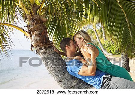 A couple lays on the trunk of a palm tree at the water's edge; Honolulu, Hawaii, United States of America View Large Photo Image Stock Photo - A couple lays on the trunk of a palm tree at the water's edge; Honolulu, Hawaii, United States of America. Fotosearch