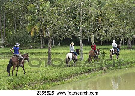 A Family Horseback Riding On A Trail Along The Water's Edge; Finca El Cisne, Honduras View Large Photo Image Stock Photography - A Family Horseback Riding On A Trail Along The Water's Edge; Finca El Cisne, Honduras. Fotosearch