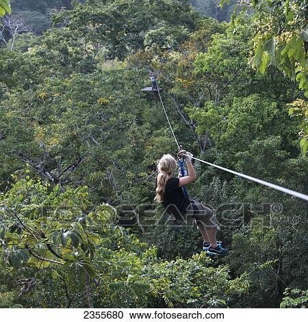 A Girl Riding A Zip Line; Copan, Honduras View Large Photo Image Stock Image - A Girl Riding A Zip Line; Copan, Honduras. Fotosearch