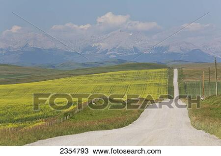 Stock Image - A Gravel Road Along The Farm Fields Leading To The Rocky Mountains; Alberta, Canada. Fotosearch