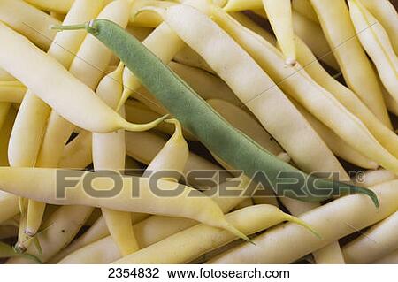 A Green Bean In A Pile Of White Beans; Calgary, Alberta, Canada View Large Photo Image Stock Image - A Green Bean In A Pile Of White Beans; Calgary, Alberta, Canada. Fotosearch