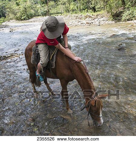 A Horseback Rider Stops For The Horse To Drink Water From A Stream; Finca El Cisne, Honduras View Large Photo Image Stock Photograph - A Horseback Rider Stops For The Horse To Drink Water From A Stream; Finca El Cisne, Honduras. Fotosearch
