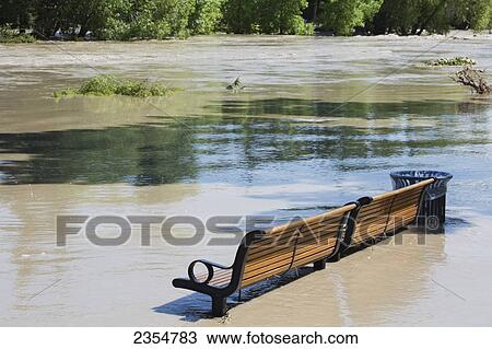 A Park Bench Sits In High Water After Flooding; Calgary, Alberta, Canada View Large Photo Image Stock Image - A Park Bench Sits In High Water After Flooding; Calgary, Alberta, Canada. Fotosearch