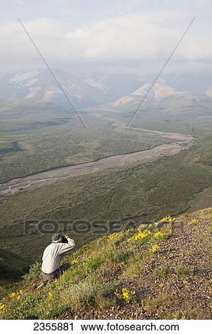 Stock Image - A Senior Man Photographs Wildflowers On The Side Of The Park Road In Denali National Park And Preserve; Alaska, United States Of America. Fotosearch