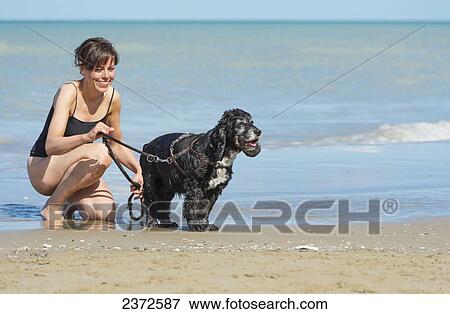 A Woman With Her Dog At The Beach; Rimini, Emilia-Romagna, Italy View Large Photo Image Stock Photo - A Woman With Her Dog At The Beach; Rimini, Emilia-Romagna, Italy. Fotosearch
