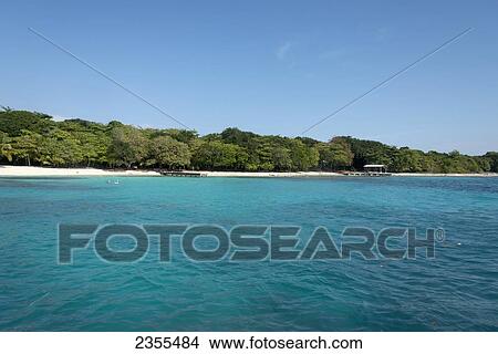 Beach And Trees Along The Coastline Of Utila Island; Utila, Bay Islands, Honduras View Large Photo Image Picture - Beach And Trees Along The Coastline Of Utila Island; Utila, Bay Islands, Honduras. Fotosearch