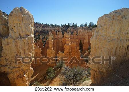 Bryce Canyon National Park; Utah, United States Of America View Large Photo Image Stock Image - Bryce Canyon National Park; Utah, United States Of America. Fotosearch