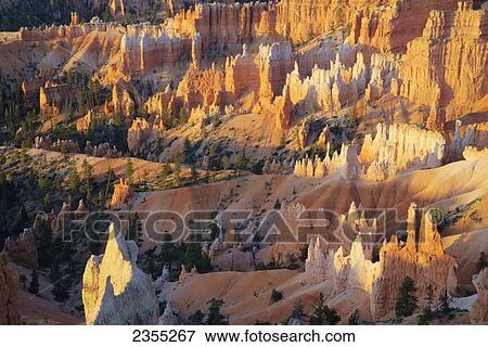 Bryce Canyon National Park; Utah, United States Of America View Large Photo Image Stock Photo - Bryce Canyon National Park; Utah, United States Of America. Fotosearch