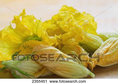 Close Up Of Zucchini Blossoms With Water Drops On Wooden Cutting Board; Calgary, Alberta, Canada View Large Photo Image Stock Image - Close Up Of Zucchini Blossoms With Water Drops On Wooden Cutting Board; Calgary, Alberta, Canada. Fotosearch