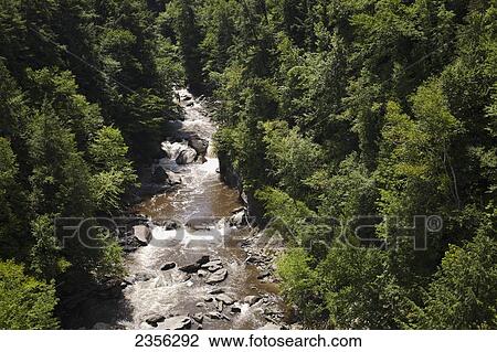 Coaticook River Gorge; Coaticook, Quebec, Canada View Large Photo Image Stock Image - Coaticook River Gorge; Coaticook, Quebec, Canada. Fotosearch