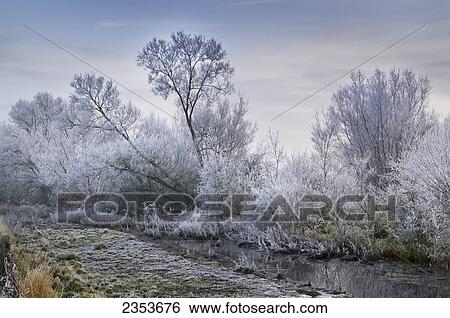 Cotswold Water Park In Winter; Thames Head, England View Large Photo Image Stock Photograph - Cotswold Water Park In Winter; Thames Head, England. Fotosearch